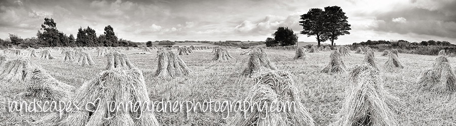 Yorkshire landscape photographer corn stooks